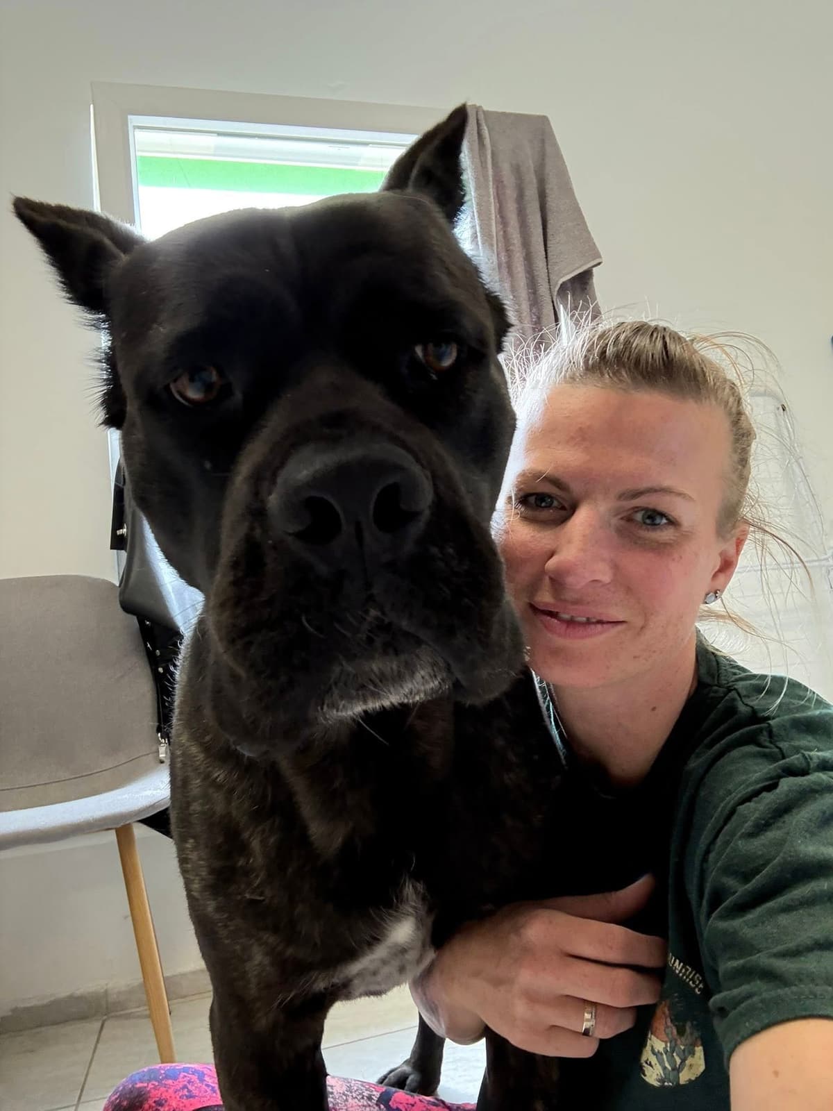 Lovely Dog Grooming Referencia Munka 8